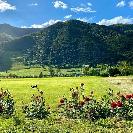 Alquitara * اوخيدو